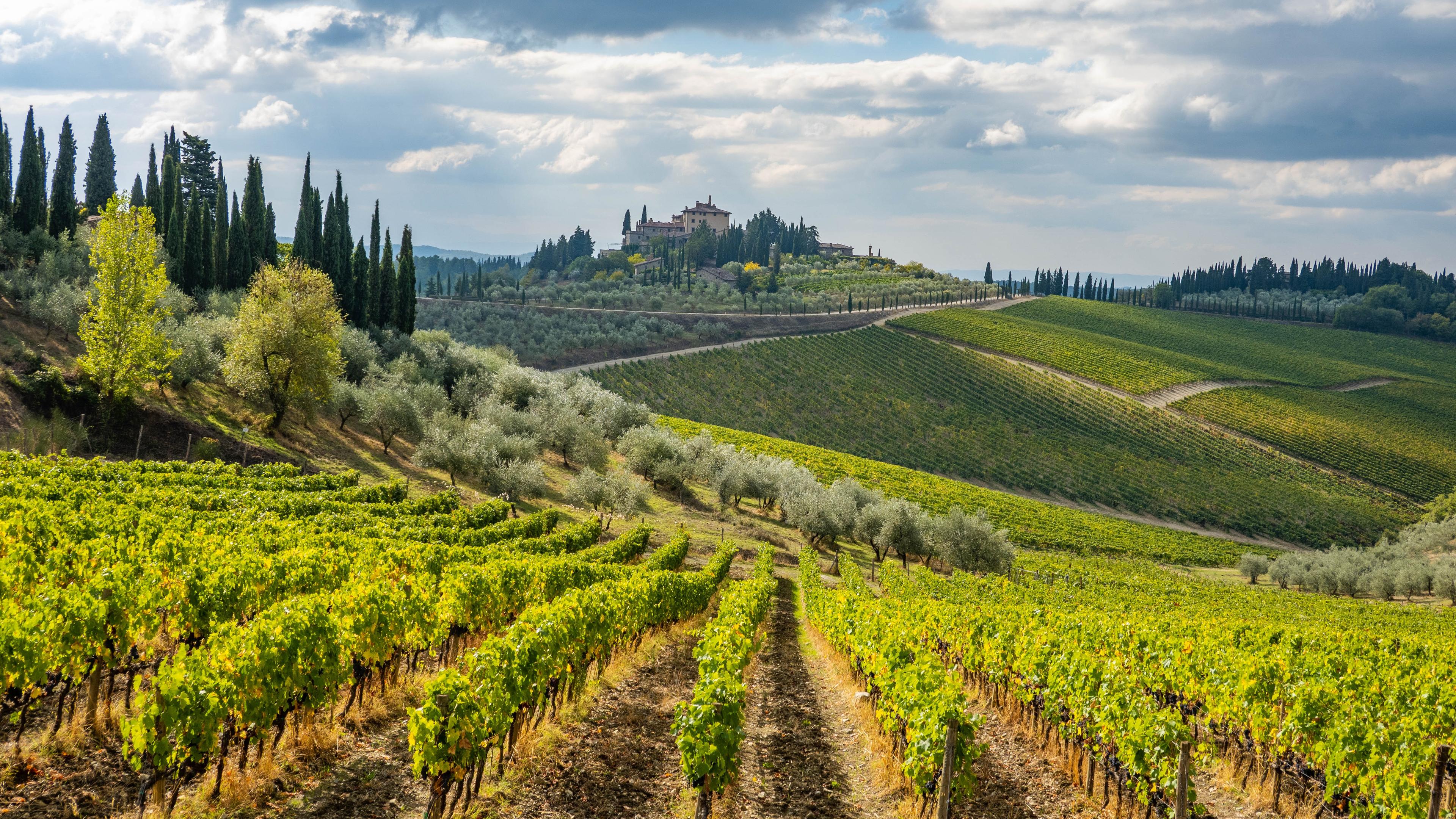 Spotlight on Tuscany - background banner